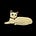 Chase Americana's avatar