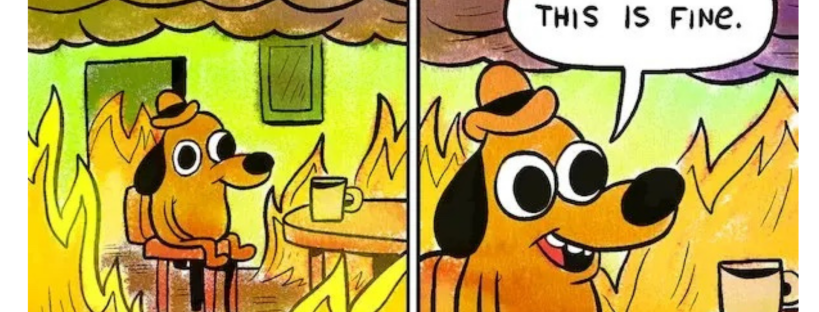 Is Everything Fine? – hope4ce Is Everything Fine? – hope4ce