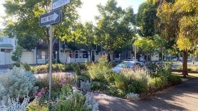 Melbourne Pollinator Corridor