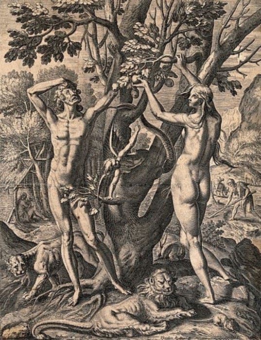 A woman-serpent bends around the Tree of Knowledge as Adam and Eve reach into the branches. Line engraving by T. de Bry after J. van Winghe. (Wellcome Images / CC BY-SA 4.0) A woman-serpent bends around the Tree of Knowledge as Adam and Eve reach into the branches. Line engraving by T. de Bry after J. van Winghe. (Wellcome Images / CC BY-SA 4.0)