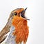 User's avatar