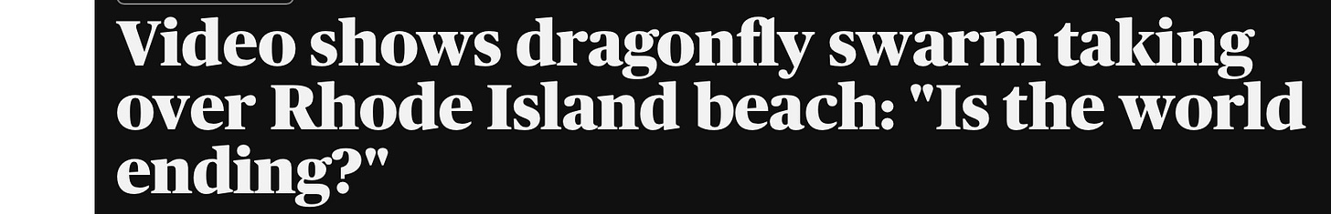 image 17.png image 17.png