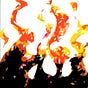 Flame Tree Publishing's avatar