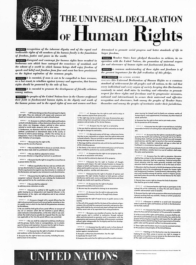 What is the Universal Declaration of Human Rights?