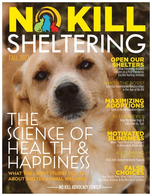May be an image of dog and text that says 'N2 KILL SHELTERING FALL 2022 OPEN OUR SHELTERS EraAreHurtingArima resinPt-Pane WHO'S Director/ Veterinarian Relationships nthe geofNon MAXIMIZING ADOPTIONS Back Equation Basics IN THEIR How now Dogs& 00 MOTIVATED BLINDNESS When Those Who Know KnOW Ledst SEYRNA HSUS Tells Shelters Breed FALSE THE SCIENCE OF HEALTH HAPPINESS WHAT THE LATEST STUDIES ABOUT SHELTER ANIMAL WELFARE How Austin Pets HASS Abandons Animals the ission Shelters NO KILL ADVOCACY CENTER'