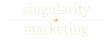🌀 Singularity Marketing