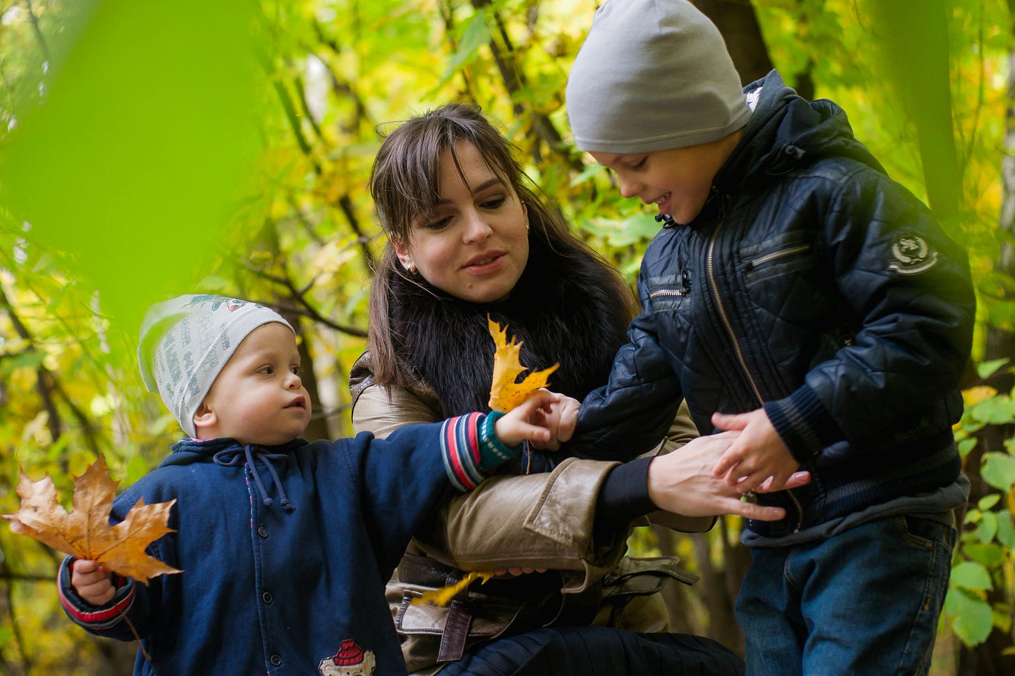 A woman and two young children explore autumn leaves in a forest. A woman and two young children explore autumn leaves in a forest.