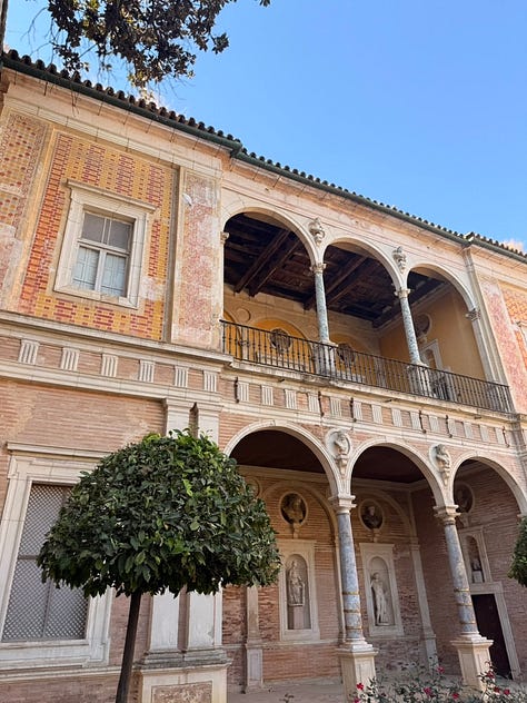 white dove at a Spanish villa