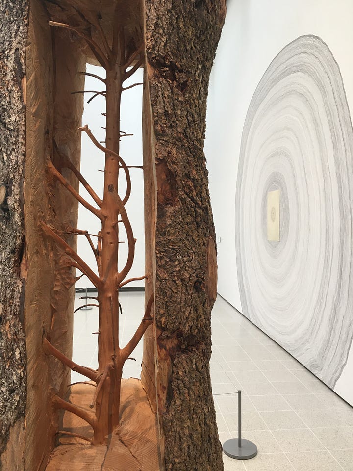 Roxy Paine — Desolation Row [2016] / Giuseppe Penone — Propagazione [1995-2020] / Albero Porta [2012].