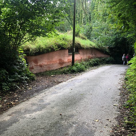Caminos rurales de Pembrokeshire, con altas cercas verdes que, en algunos tramos, se cierran y convierten el camino en un túnel.