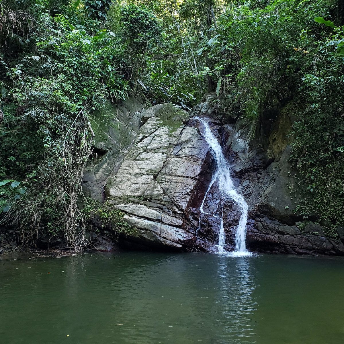 Castara Waterfall - All You Need to Know BEFORE You Go