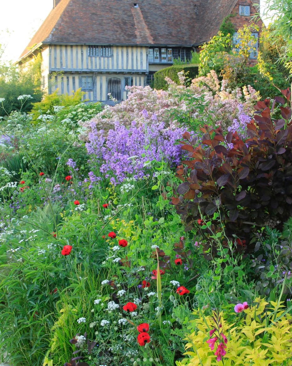 A pretty cottage garden with abundant gardening