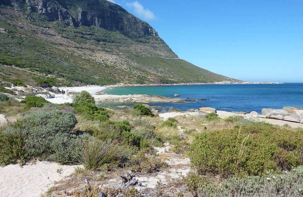 Wide view of Sandy Bay near Cape Town showing a quiet sandy beach, turquoise water, rocky shoreline, and steep green mountains rising behind the cove. Wide view of Sandy Bay near Cape Town showing a quiet sandy beach, turquoise water, rocky shoreline, and steep green mountains rising behind the cove.
