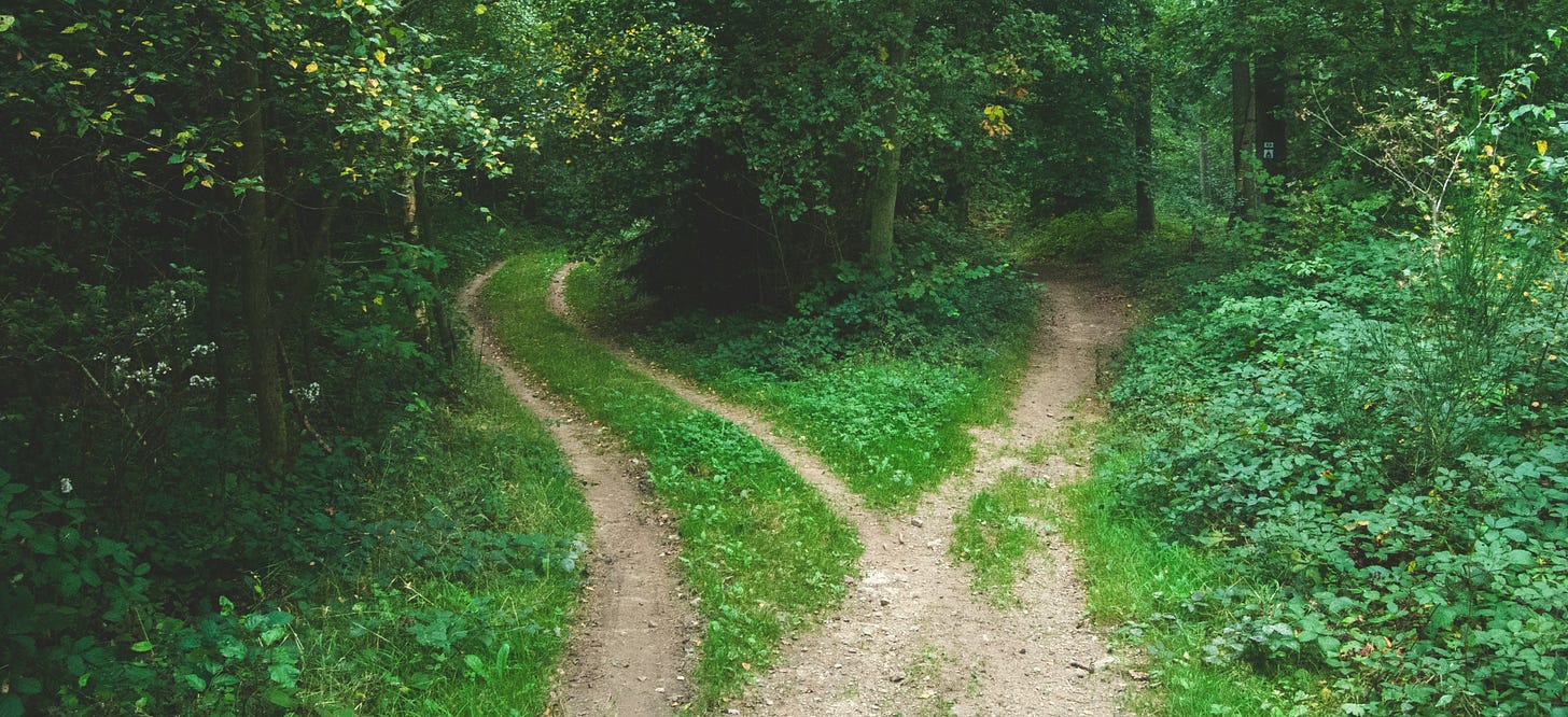 two paths in the woods, Michelle Cowles, Jens Lelie