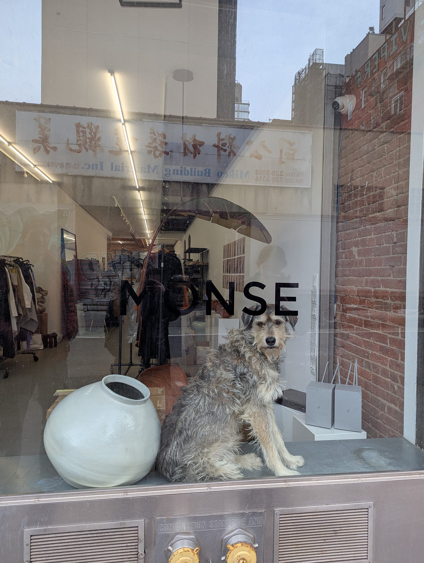 A NYC storefront. I think it's a clothing store. There is a very large asymmetrical vase on a ledge in the window (artsy!) and, next to that, a brown-and-gray medium-sized terrier, sitting majestically and statuesquely. I truly thought it was a statue dog. Especially placed next to the giant vase, it seemed like some kind of art. A NYC storefront. I think it's a clothing store. There is a very large asymmetrical vase on a ledge in the window (artsy!) and, next to that, a brown-and-gray medium-sized terrier, sitting majestically and statuesquely. I truly thought it was a statue dog. Especially placed next to the giant vase, it seemed like some kind of art.
