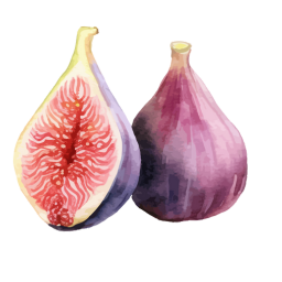 Sitting with Figs logo