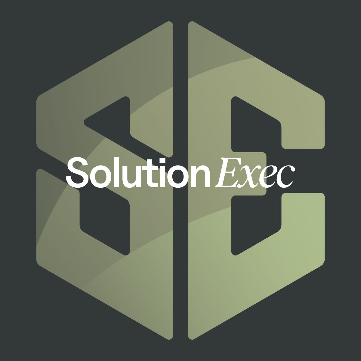 The SolutionExec Newsletter