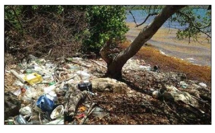 Plastics and other garbage near the shore in St. Croix