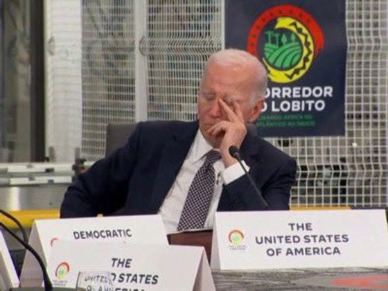 Joe Biden asleep at Africa meeting