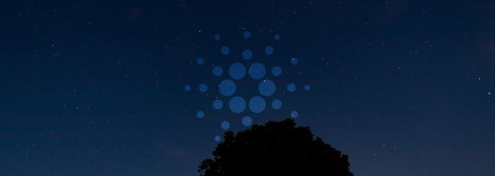 Cardano’s (ADA) Shelley public testnet set to open for all pool operators on June 9 Cardano’s (ADA) Shelley public testnet set to open for all pool operators on June 9