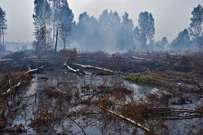 Flooding Russia's Peat Bogs to Stop Fires -- Photos. - WSJ