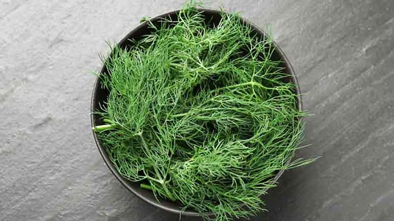 dill muscle cramps digestion