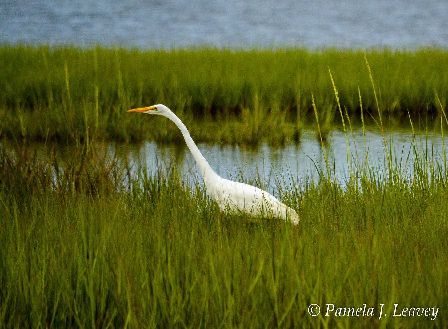 No photo description available.