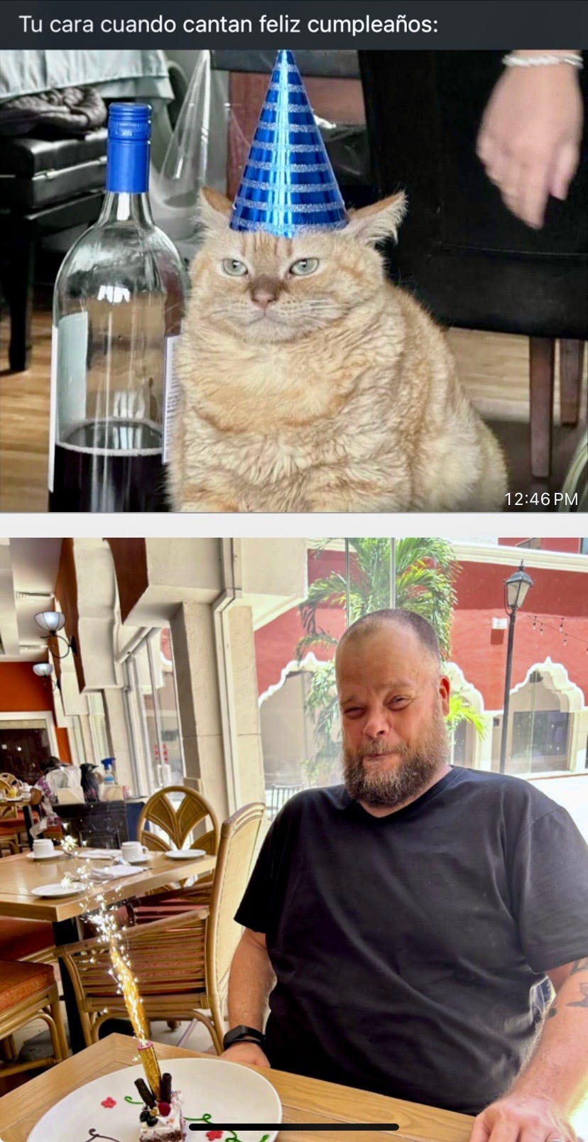 Mark H. Durgee late-diagnosed autism neurodivergent coaching Man and cat react to people singing happy birthday.
