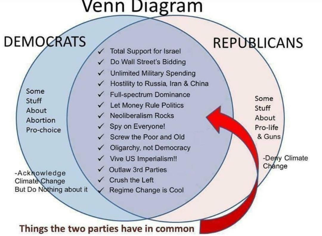 In the US, there is basically one party--the business party. It has two  faction, called Democrats and Republicans, which are somewhat different but  carry out variations on the same policies." -Chomsky :
