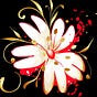 Stellaria Storytelling's avatar