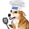 Unicoi Craig's avatar