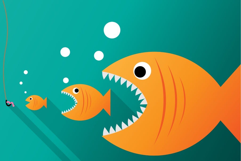 What is Keyword Cannibalization - Coco Solution 🥥