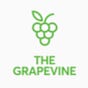 The Grapevine's avatar