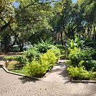 🚶Mexico City: Condesa neighborhood walk