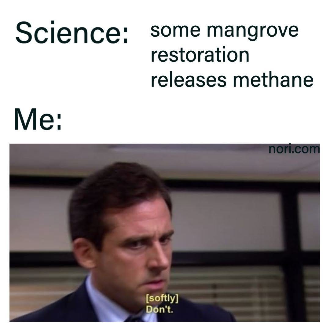 Text: "Science: some mangrove restoration releases methane. Me:" Below, Michael Scott looking down, subtitled "[softly] Don't."