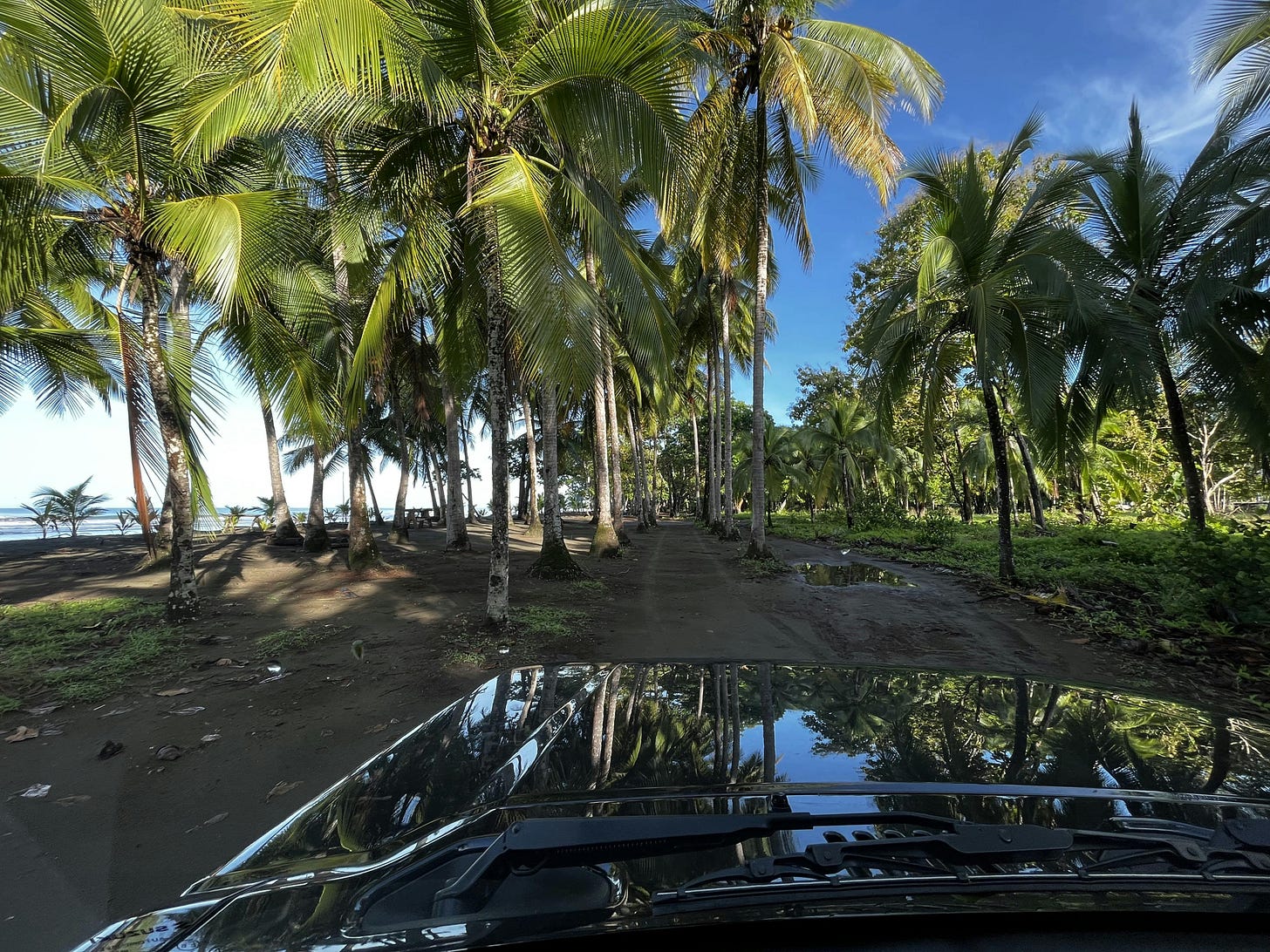 037: Loving What You Have, Having What You Love! 037: Loving What You Have, Having What You Love!