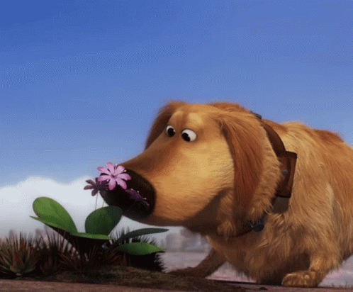 Disney Pixar GIF - Disney Pixar Dugs Special Mission GIFs