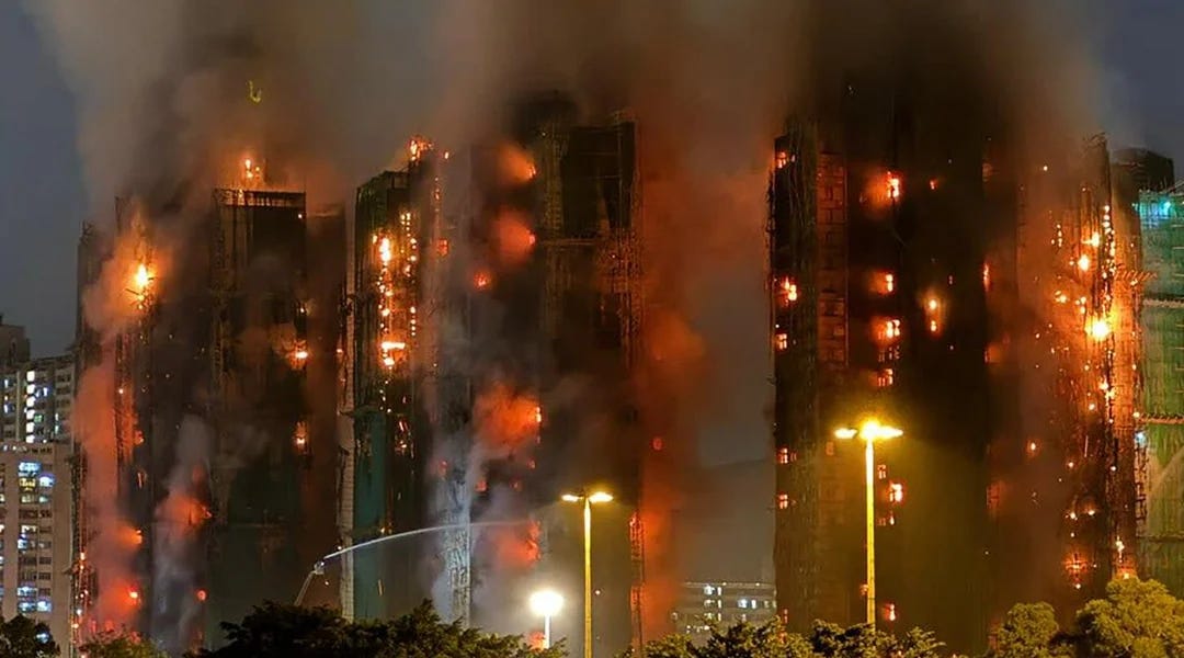 Trees the Size of Buildings, Brain-Tickling Neutrinos, Cannibal Neanderthals & Humanoid Border Patrols