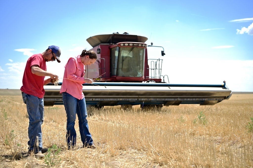 GettyImages-1799094237 farming