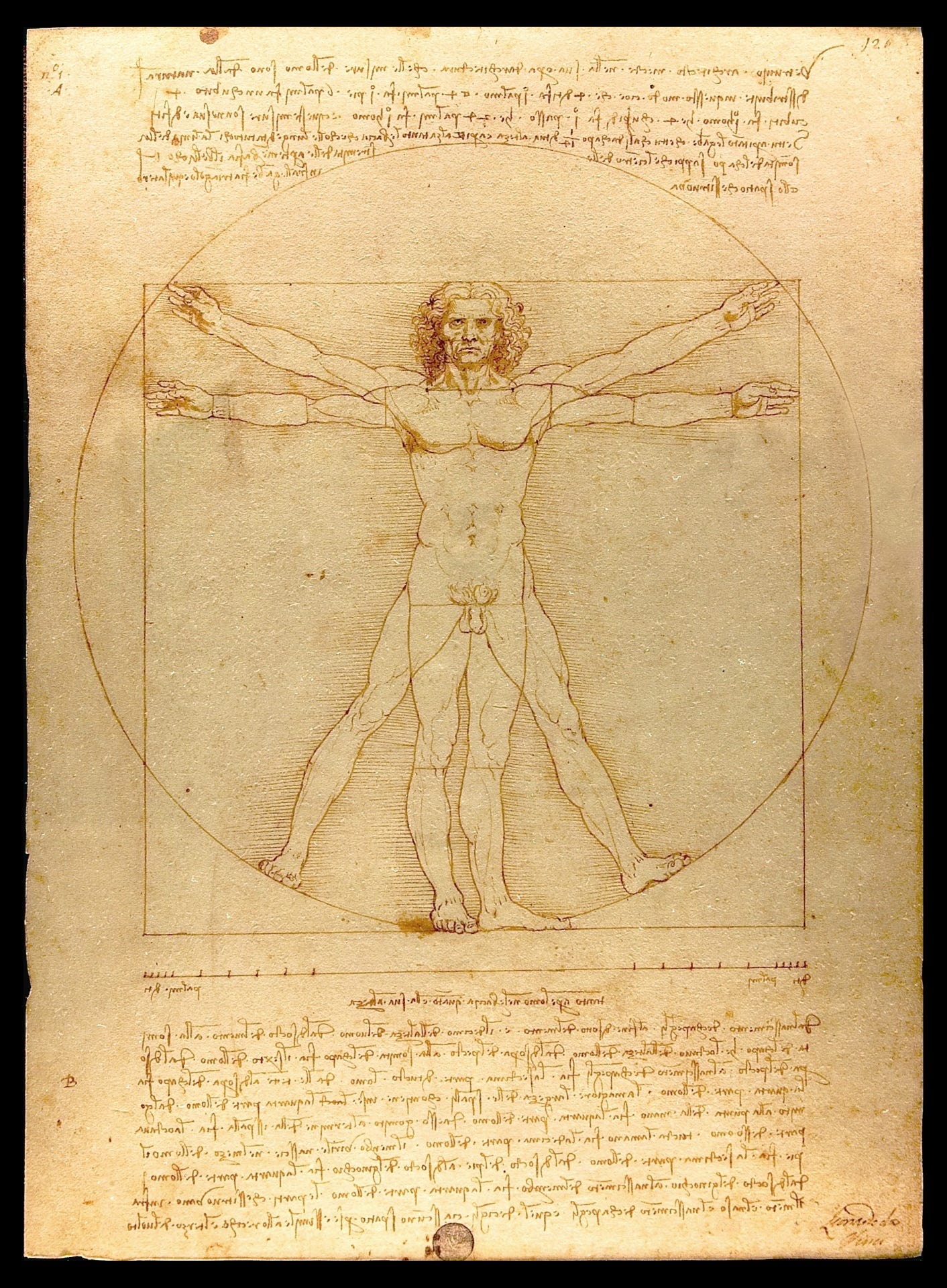 Vitruvian Man Vintage Drawing