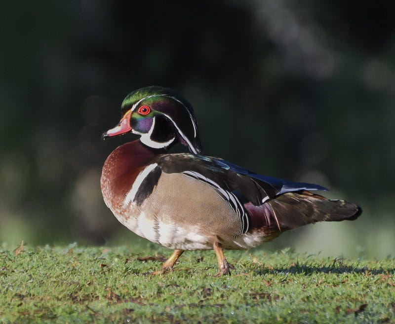 2016033rd-8th_-12.jpg 2016033rd-8th_-12.jpg