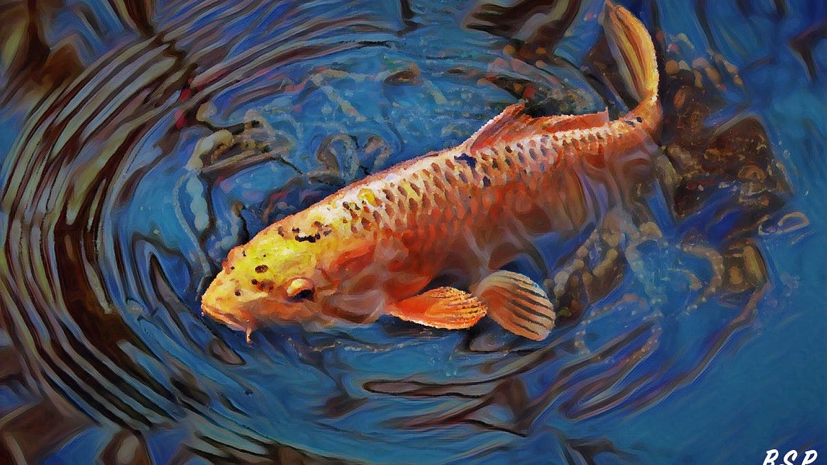 bxbandits.substack.com