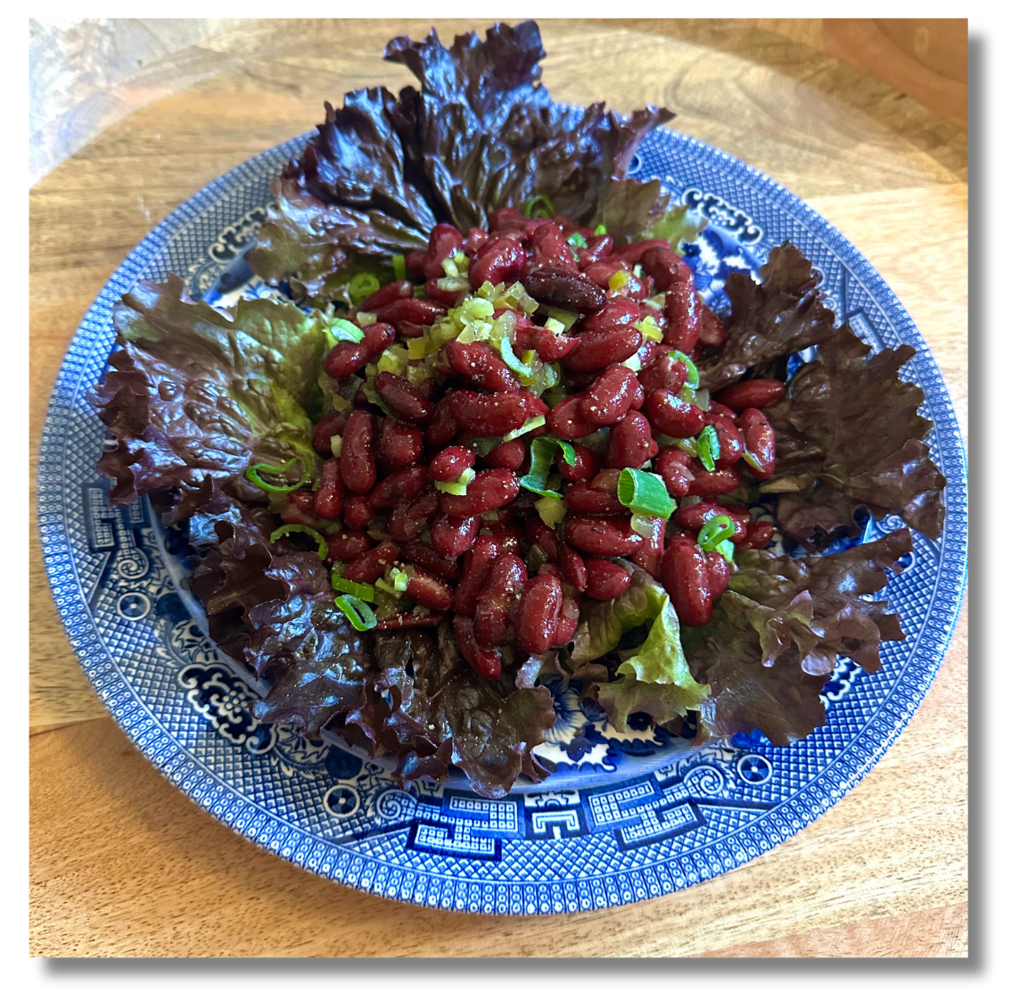 Photo of a vintage-style kidney bean salad arranged on a blue and white plate. The salad consists of red kidney beans tossed with chopped celery, scallions, and sweet pickles, all resting on a bed of red leaf lettuce. The plate sits on a wooden surface.