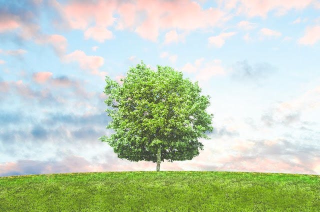 Responsible traveling How to lessen the environmental impact of traveling