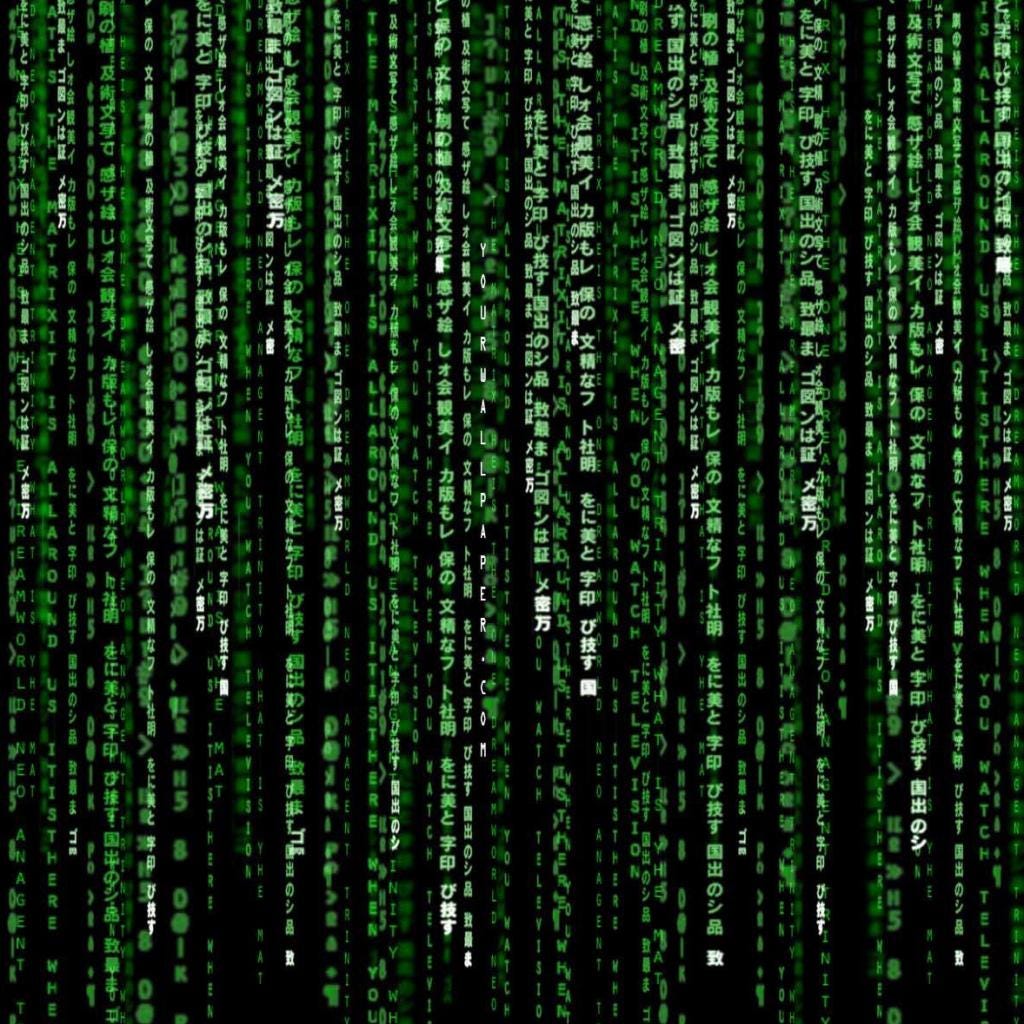 Cascading columns of glowing green Japanese characters, letters and symbols against a black background, resembling the iconic digital rain code from The Matrix. Cascading columns of glowing green Japanese characters, letters and symbols against a black background, resembling the iconic digital rain code from The Matrix.
