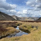 Change Your Mindset: Embrace Inefficiency