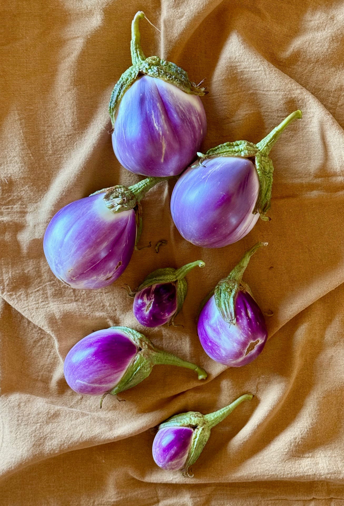 A gold tablecloth with purple eggplants on it. 