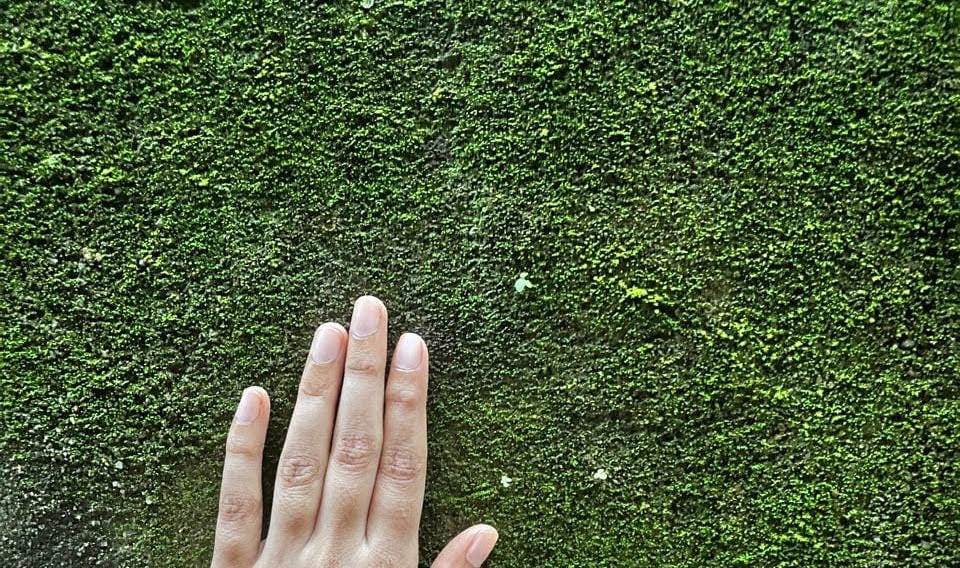 AGAZnRq94t_MHv7doZcZ7DCBDZk7HzH5TUS0YCpnwtIoNFOndA5QRIhroZHzeeg-TYS0uE_JTBz8NbUJ_olwFc92HFwXHriAh-J5YSuD1TQnVyFCSddGUPwat5fQkwd_tvVHmXDAy5XgUhxyAzEeuCFZFTC_TRslbgGT3uOXUpv-QTTXWhlZwpLeI4RF-y0rXScKBy4gZDlIfVNVMxgM0odoDKHPBja86nEwwdVS_4yE5G3Dv0SPE114_1RosGqbRXxz33kiW1bnxKjQmz5RZ9CUS-EC3ZEM_baq0yedGI1pnGsy5HwSUuyKuC3_7utzAPRlJpWLX0VD5R3RkCwNW5lgGSyOxeV8snbJ-7fakW8RfHdfwzoDYDrLH0YllfT6p9q_pe26HeQTfAhnuNZAUGdQmtlHmp6GA9NehANqH2FjBthEoZcIEAATGP-ry_ddTtMeyux2yxnJVSm6qVF6PaEG-XOA1vIHyBmJG_epHMqJ0fWX-diRPA0KU-QMSscPNSUcVA_J6INhIYl9fgrS8juVYj_Cqii27GKd-f_nkwL1I7A3iwcNYDf9vPwo8QFGG0Yk9M8HWWPjQCaHXdGqZ_ewzUSq7F-RilNk0COoXPE1Z_mwAiuCsFfM9F8u8Uw3mzVCs1jFT8oZ2EJSIltTIn_A_QjVXazLXVAJ3Pbam53iIunk9sPFBDh32HcWlvejDYcR67eqykwDUsp0dgiNjtT9FmAVtW6BVMALOoGwRHrfOie04EhYJ4FUKexvCUZ4B10T-iL7jXqHeRcio5BwTD50jrPaUmtkpkUI7CW7JMNOZrLKAljPLLgO5NghPg2hn_Ymd619mwbWdsfIdwXHi5S62w1SZtcCJHd8YOxM3LzKeRzLBz61-iQgu2fCWg9Fg0OYQFNCM2DAUvInVUIIlJ3spCFSzXofC82s63n2r4D5yYS49Y0E2pMhvl1-si6iHL3sB0MBbsDKm_pFlb3lU03ZIvmTbHhQzBDpYH81iD_uEqOtQJm7XswmN_OTCjD6isQsAacHDJjm2FWT5IqlNBo702HVAhSAW4ZAXK3E4h2RRiGPwlSfMKQ28-bhDaxTgMX3OWcjua9pFsqJGVltFbO4T8L0YM-mqoL0gEu1V5yX27EpvBvTx2J9giAwIdkuaw=s0-l75-ft (960×568)