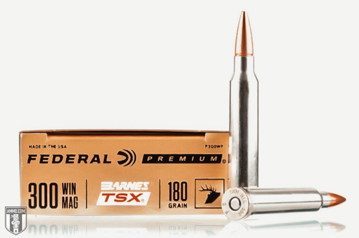 Federal 300 Win Mag ammo for sale
