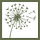 Dandelion Bookshop Newsletter